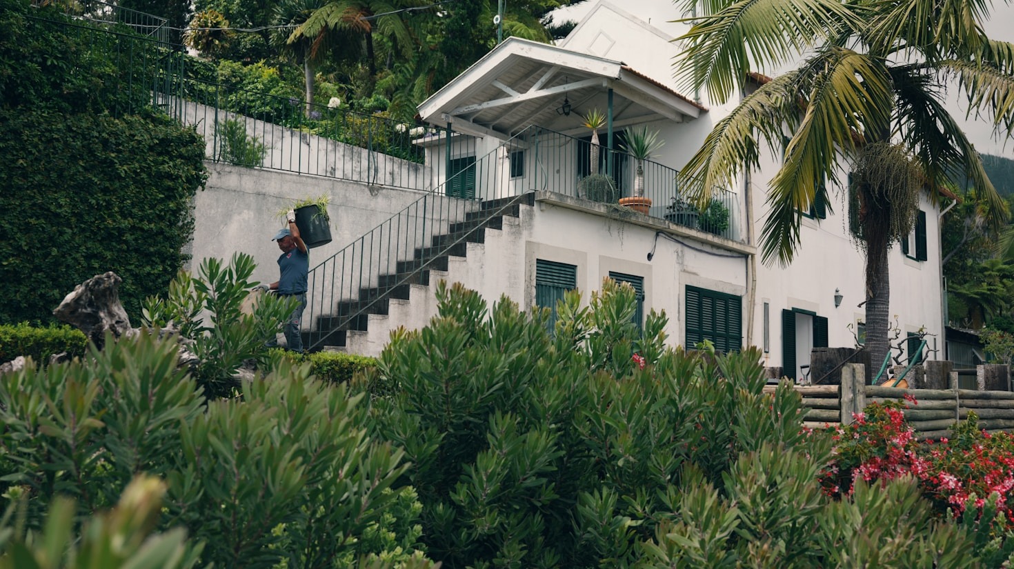 The Benefits of Expert Cleaning Services for Homes